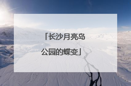 长沙月亮岛公园的蝶变