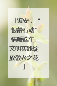 镇安：“银龄行动”情暖端午 文明实践绽放敬老之花