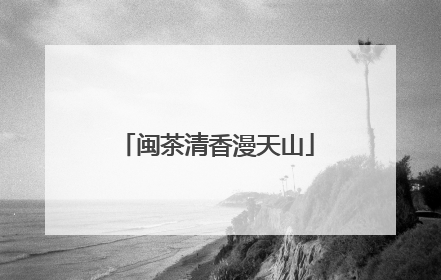 闽茶清香漫天山