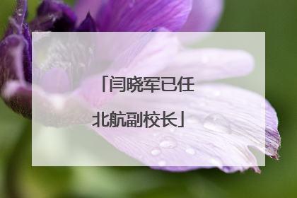 闫晓军已任北航副校长