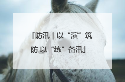 防汛｜以“演”筑防 以“练”备汛