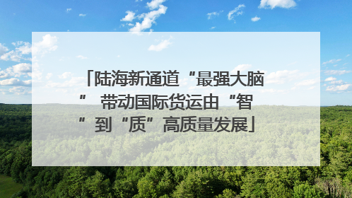 陆海新通道“最强大脑” 带动国际货运由“智”到“质”高质量发展