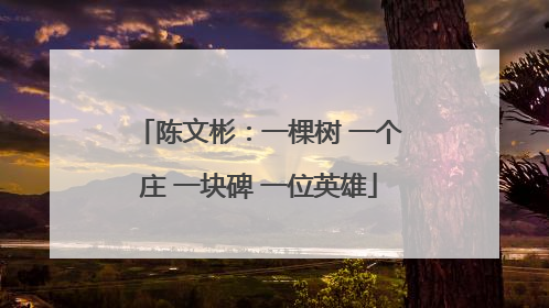 陈文彬：一棵树 一个庄 一块碑 一位英雄