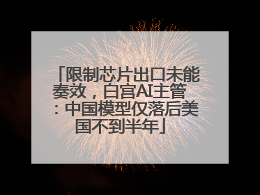 限制芯片出口未能奏效，白宫AI主管：中国模型仅落后美国不到半年