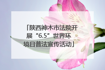 陕西神木市法院开展“6.5”世界环境日普法宣传活动