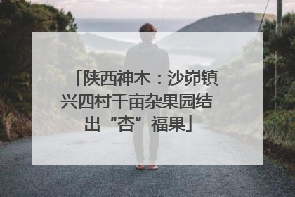 陕西神木：沙峁镇兴四村千亩杂果园结出“杏”福果