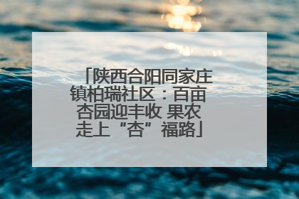 陕西合阳同家庄镇柏瑞社区：百亩杏园迎丰收 果农走上“杏”福路