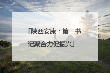陕西安康：第一书记聚合力促振兴