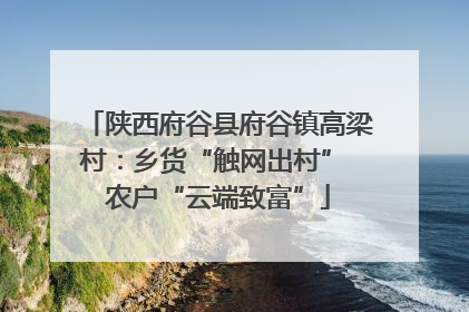 陕西府谷县府谷镇高梁村：乡货“触网出村” 农户“云端致富”