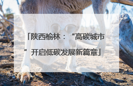 陕西榆林：“高碳城市”开启低碳发展新篇章