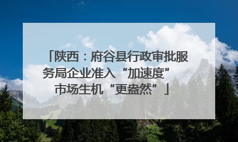 陕西：府谷县行政审批服务局企业准入“加速度” 市场生机“更盎然”