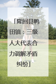隆回县鸭田镇：三级人大代表合力调解矛盾纠纷
