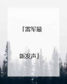 雷军最新发声