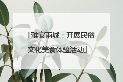 雅安雨城：开展民俗文化美食体验活动