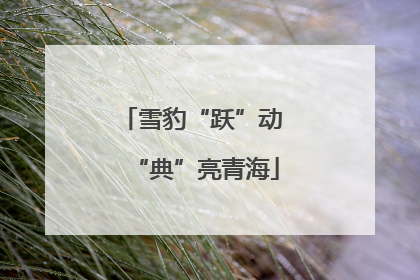 雪豹“跃”动 “典”亮青海