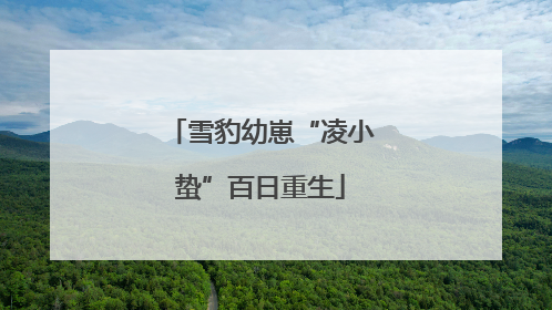 雪豹幼崽“凌小蛰”百日重生