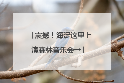 震撼！海淀这里上演森林音乐会→