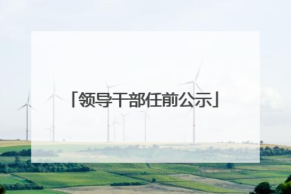 领导干部任前公示