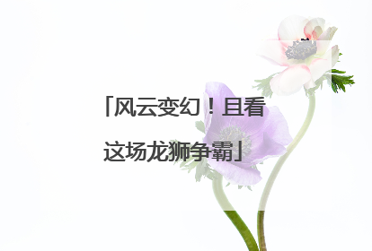 风云变幻！且看这场龙狮争霸