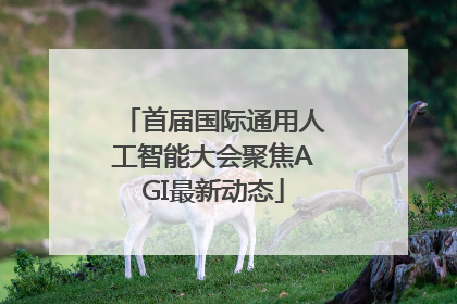 首届国际通用人工智能大会聚焦AGI最新动态
