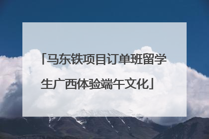 马东铁项目订单班留学生广西体验端午文化