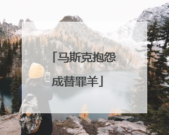 马斯克抱怨成替罪羊