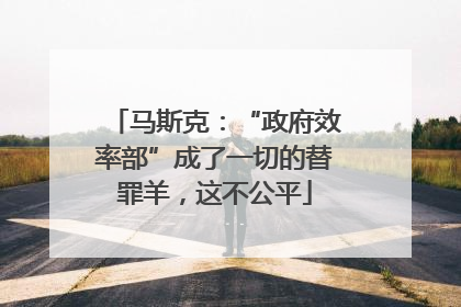马斯克：“政府效率部”成了一切的替罪羊，这不公平