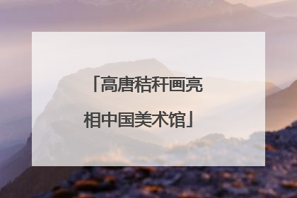 高唐秸秆画亮相中国美术馆
