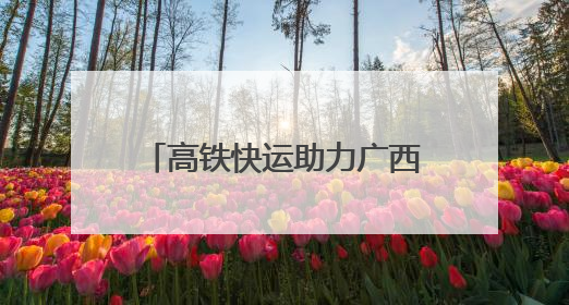 高铁快运助力广西荔枝“鲜”行全国