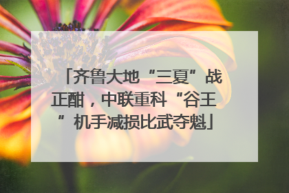 齐鲁大地“三夏”战正酣，中联重科“谷王”机手减损比武夺魁