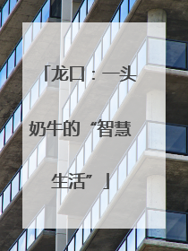 龙口：一头奶牛的“智慧生活”