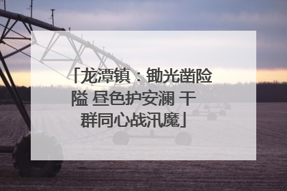龙潭镇：锄光凿险隘 昼色护安澜 干群同心战汛魔