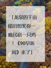 龙泉的千亩梯田想奖你一晚民宿一只鸡！《90早新闻》来了