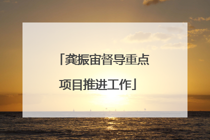 龚振宙督导重点项目推进工作