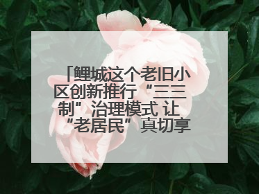 鲤城这个老旧小区创新推行“三三制”治理模式 让“老居民”真切享受到“新生活”