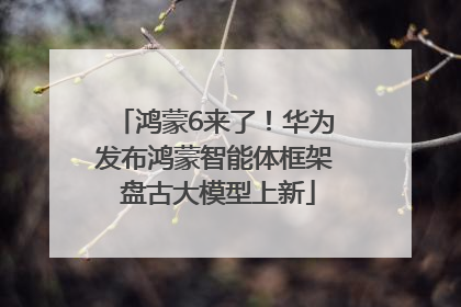 鸿蒙6来了！华为发布鸿蒙智能体框架 盘古大模型上新