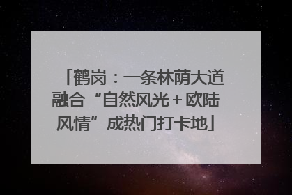 鹤岗：一条林荫大道融合“自然风光＋欧陆风情”成热门打卡地