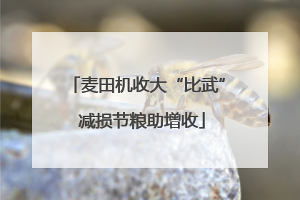 麦田机收大“比武” 减损节粮助增收