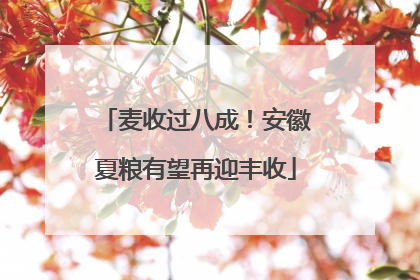 麦收过八成！安徽夏粮有望再迎丰收