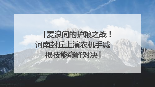麦浪间的护粮之战！河南封丘上演农机手减损技能巅峰对决