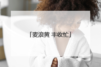 麦浪黄 丰收忙