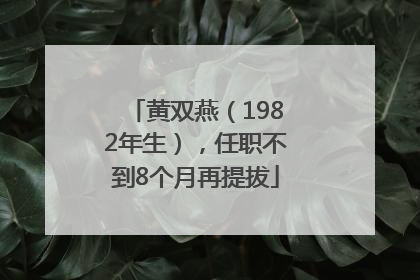 黄双燕（1982年生），任职不到8个月再提拔