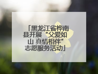 黑龙江省桦南县开展“父爱如山 真情相伴”志愿服务活动