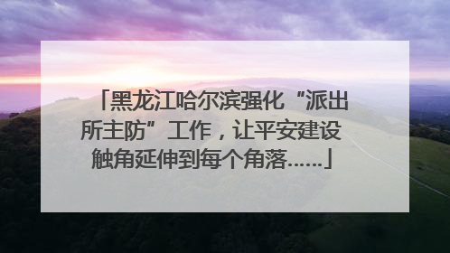 黑龙江哈尔滨强化“派出所主防”工作，让平安建设触角延伸到每个角落……