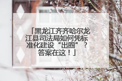 黑龙江齐齐哈尔龙江县司法局如何凭标准化建设“出圈”？答案在这！
