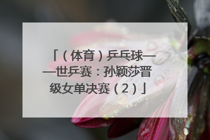 （体育）乒乓球——世乒赛：孙颖莎晋级女单决赛（2）