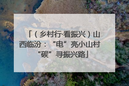 （乡村行·看振兴）山西临汾：“电”亮小山村 “碳”寻振兴路