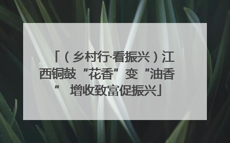 （乡村行·看振兴）江西铜鼓“花香”变“油香” 增收致富促振兴