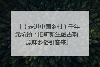 （走进中国乡村）千年元坑镇：旧矿新生融古韵 原味乡俗引客来