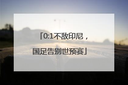 0:1不敌印尼，国足告别世预赛
